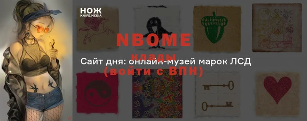 СК Алексин