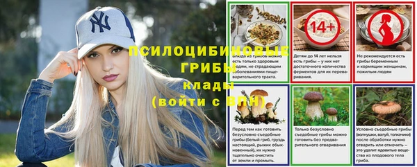 ПСИЛОЦИБИНОВЫЕ ГРИБЫ Дедовск
