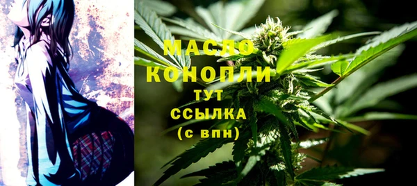 СК Алексин